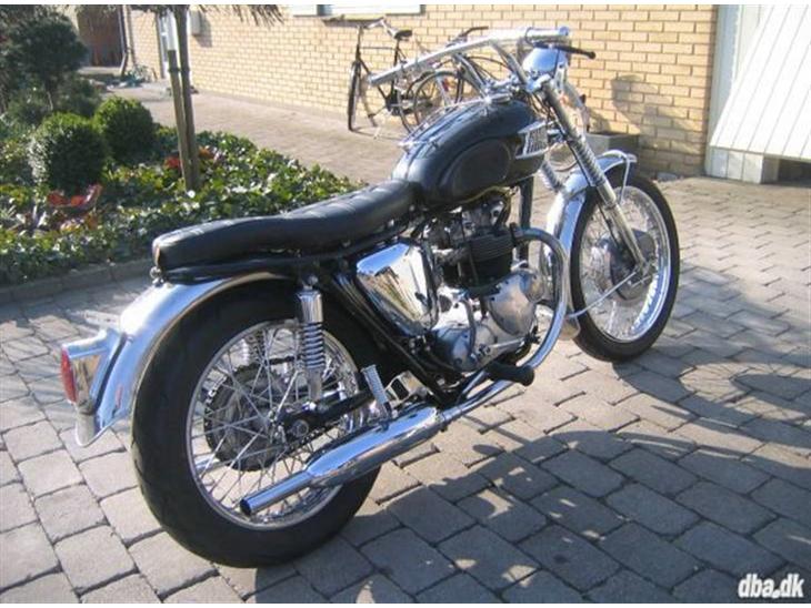 Triumph Tiger 100 - Mit dejlige dyr... billede 1