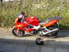 Honda vtr 1000 R.I.P