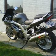 Suzuki SV 1000 SOLGT