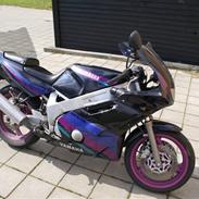 Yamaha FZR