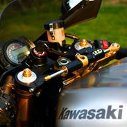 Kawasaki Zx10r Ninja
