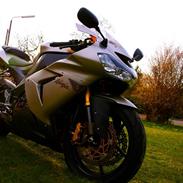 Kawasaki Zx10r Ninja