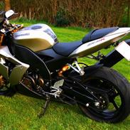 Kawasaki Zx10r Ninja