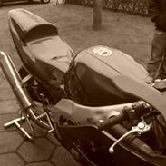 Yamaha YZF 600R Thundercat