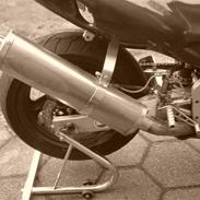 Yamaha YZF 600R Thundercat
