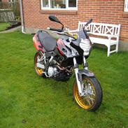 Aprilia Pegaso Factory