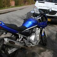 Suzuki bandit 650