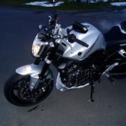 Yamaha FZ1-NA