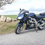 Suzuki SV 1000