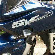 Suzuki SV 1000