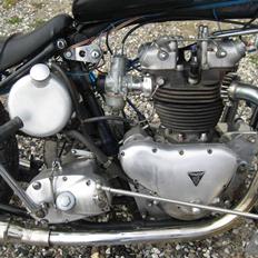 Triumph Thunderbird - - SOLGT - -
