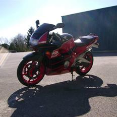 Honda cbr 600 "DØD"
