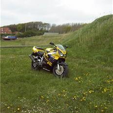 Honda cbr 900