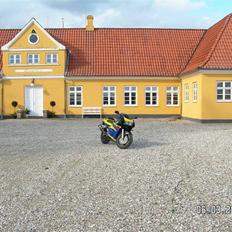 Suzuki GSXR 600 SOLGT