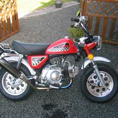Jincheng Monkey 140 ccm Monster - SOLGT