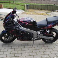 Kawasaki zx6r EL HIJO DEL DIABLO 