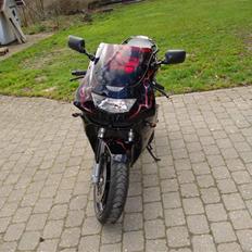 Kawasaki zx6r EL HIJO DEL DIABLO 