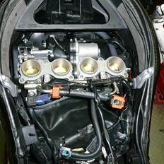 Yamaha YZF R6 "SOLGT"