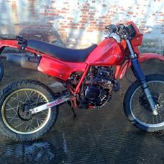 Honda XL 350 R