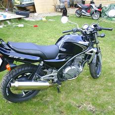 Kawasaki ER 5