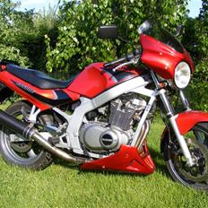 Suzuki GS 500 E *Solgt*