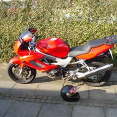Honda vtr 1000 R.I.P