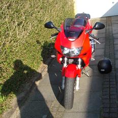 Honda vtr 1000 R.I.P