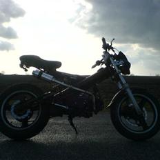 Sachs MadAss