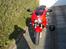 Honda vtr 1000 R.I.P - for