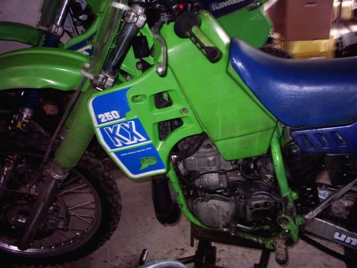 Kawasaki KX250 billede 9