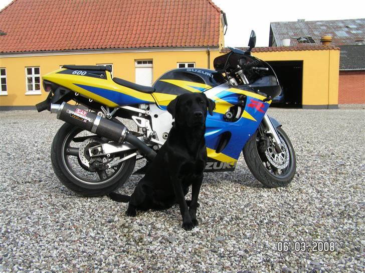 Suzuki GSXR 600 SOLGT billede 5