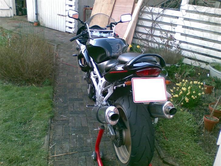 Suzuki TL1000s TIL SALG billede 6