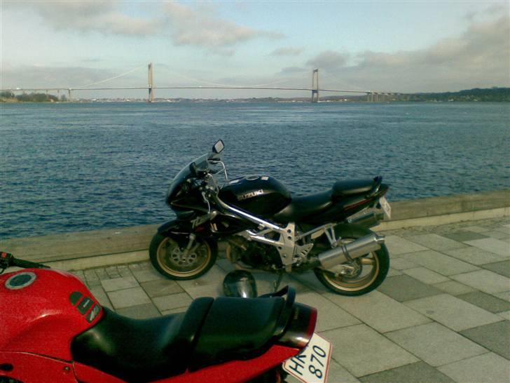 Suzuki TL1000s TIL SALG billede 8
