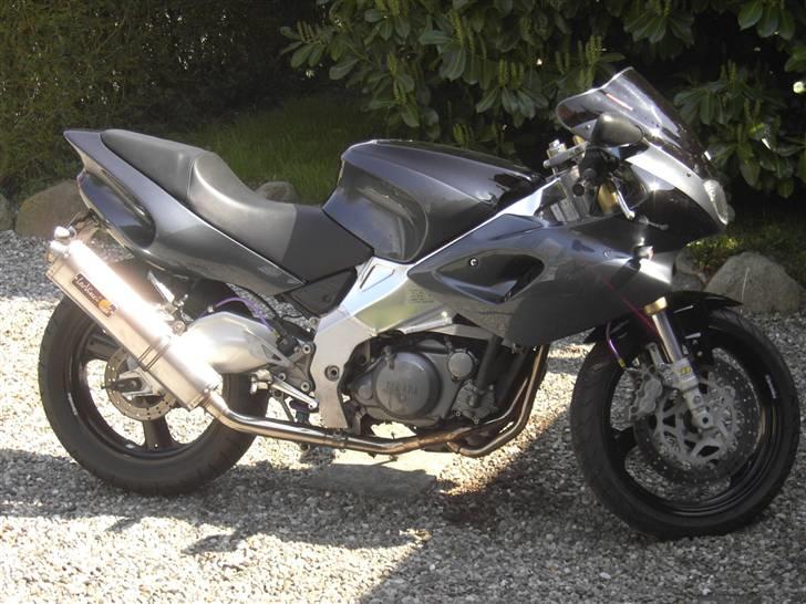 Yamaha SZR660 Belgarda (sælges) - Mangler stadig tank emblem og evt lidt staffering på røven billede 1