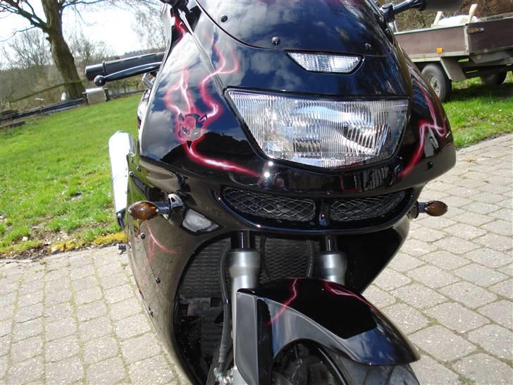 Kawasaki zx6r EL HIJO DEL DIABLO  billede 11