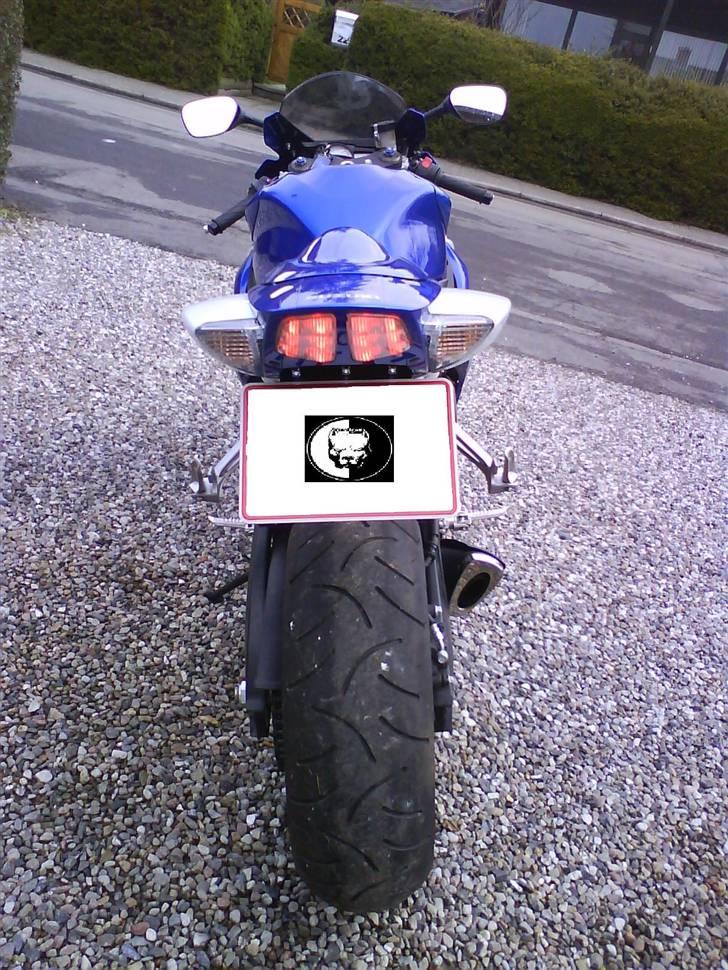 Suzuki GSX-R600K7 billede 7