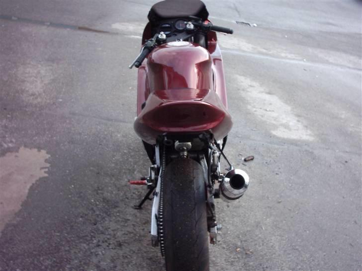 Honda Cbr 600 pc 31 Banejern billede 4