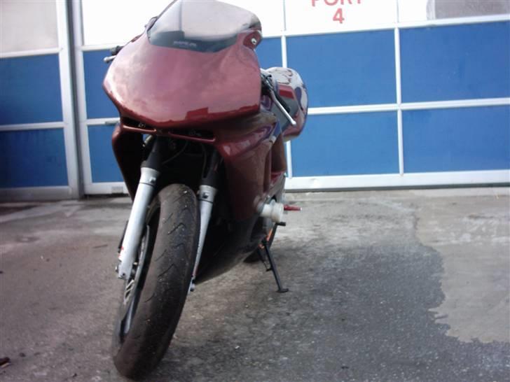 Honda Cbr 600 pc 31 Banejern billede 7