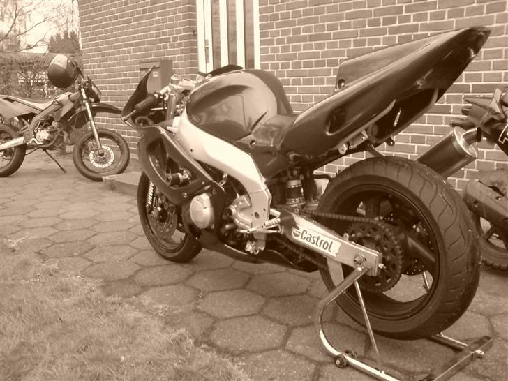Yamaha YZF 600R Thundercat billede 2