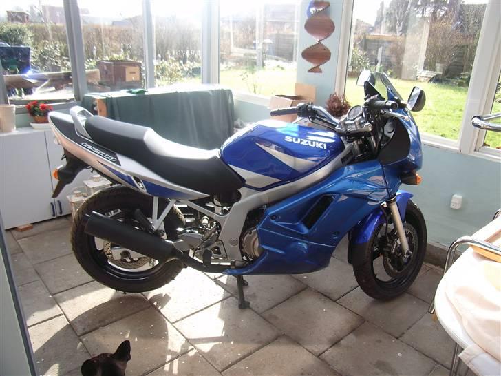 Suzuki Gs 500 e billede 1