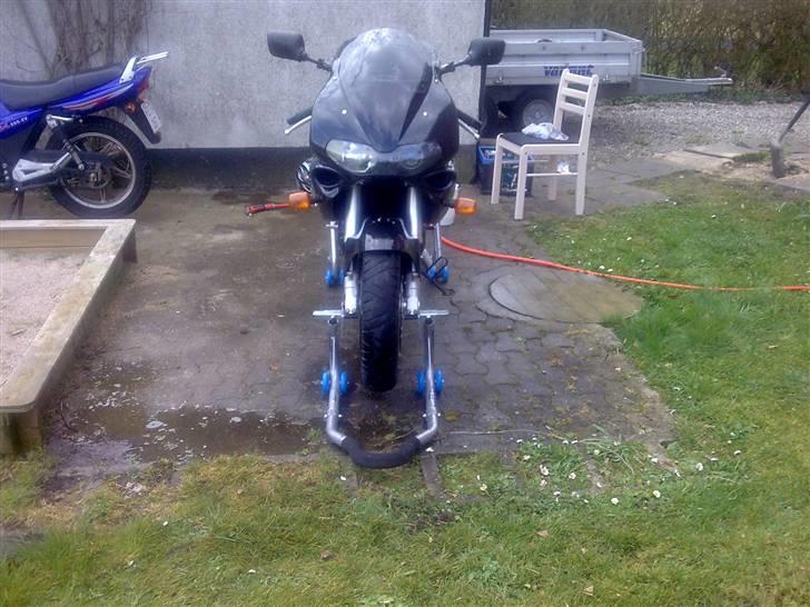 Suzuki TL 1000S billede 18