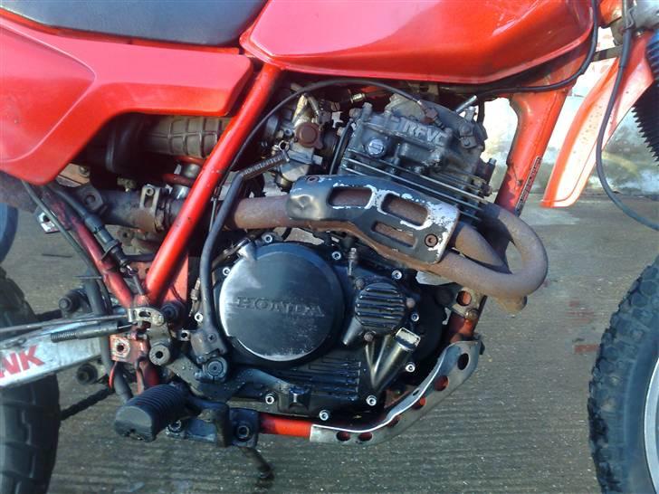 Honda XL 350 R billede 5