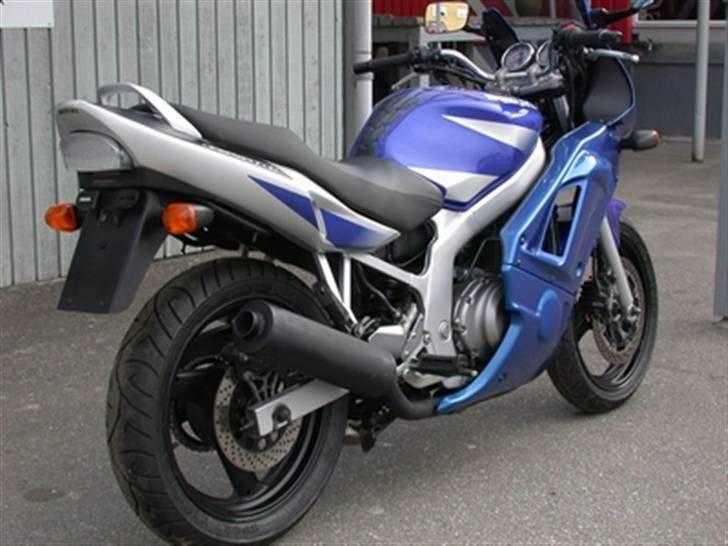 Suzuki Gs 500 e billede 5
