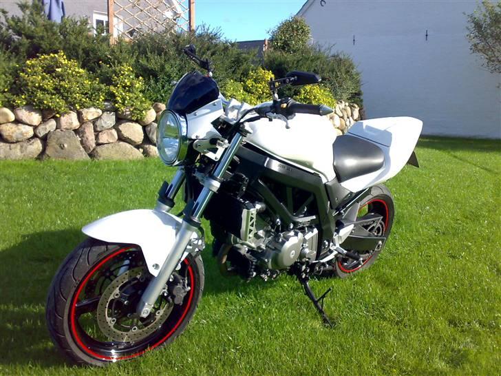 Suzuki SV650 N Solgt billede 6