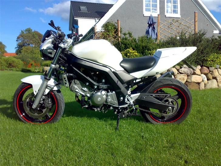 Suzuki SV650 N Solgt billede 7