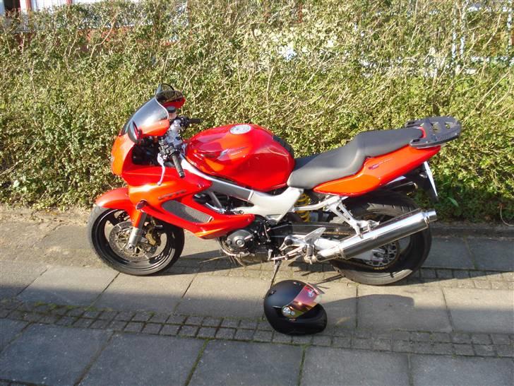 Honda vtr 1000 R.I.P - vtr 1000 1997 billede 1