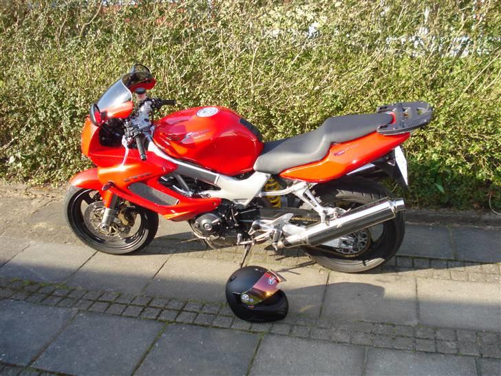 Honda vtr 1000 R.I.P - solen skinner min mc skinner billede 4
