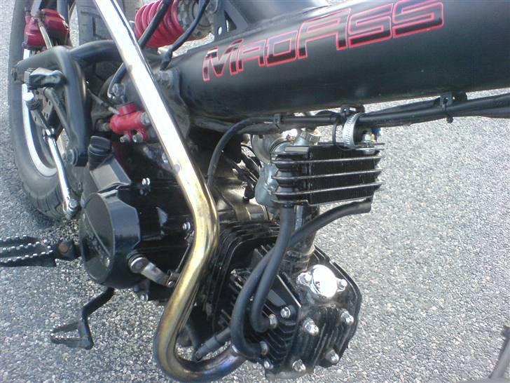 Sachs MadAss billede 6
