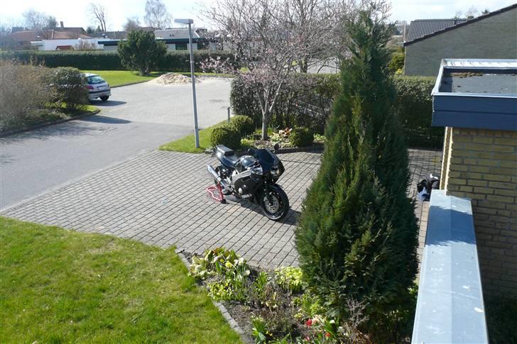 Yamaha FZR 600 - SOLGT billede 15