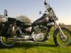 Yamaha Virago 250 (solgt)